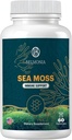 Sea Moss Gummi — Immunstärke und Hautgesundheit, Organic Irish Moss Gummy Bears, 60 Count, Vegan, Superfood Chewable Supplement für Endurance & Health