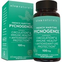 Viva Naturals Pycnogenol - 100mg French Maritime Pine Bark Extract – Unterstützt Zirkulation, Antioxidant-Like Aktivität, Gelenke & Immune Gesundheit und Funktion – 60 Veggie Kapseln