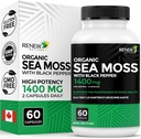 Renew Actives Sea Moss Triple-Action Antioxidant Blend mit BioPerine – Organic Irish Sea Moss 500MG, Bladderwrack 500MG & Burdock Root 400MG pro 2 Kapseln – Made in Canada - 60 Kapseln