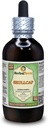 Skullcap (Scutellaria Lateriflora) Glycerite, Estratto di liquido senza alcool di erbe secche organiche (Nome: HerbalTerra, Proudly Made in USA) 4 fl.oz (120 ml)