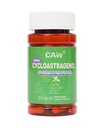 CAW Nano Cycloastragenol 25Mg | Telomerase-Aktivierung DNA-Reparatur | Bessere Absorption Immunity Boost | 30 Enteric-Coated Vegetarian Kapseln (1 Flasche)