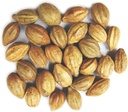 Natürliche Terminalia Chebula | Kadukkai| Harad | Inknut HarHaritaki Indian Origin Kräuter (200g(7 oz))