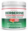 Sugar-Free Apple Cider Essiggummis für Erwachsene (90 Chews) – Unfiltriert, Detox ACV Gummis mit der Mutter für Gut Gesundheit, Energie, Verdauung & Immununterstützung – Keine weiteren Kapseln, Pillen oder Säure Reflux