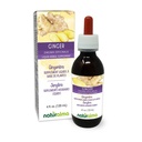 Naturalma Ginger (Zingiber officinalis) Rhizome Alkoholfreie Tinktur - 4 fl oz Flüssiger Extrakt in Tropfen - Kräuterergänzung - Vegan