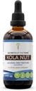Secrets of the Tribe Kola Nut Tincture Alkoholfreie Extrakt, Kola Nüsse (Cola Acuminate) Getrocknete Nüsse (4 FL OZ)