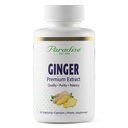 Paradise Herbs Premium Ginger Extrakt für Verdauungsmedizin, Super Potent, Ultra Pure, Vegan, Non-GMO, Glutenfrei, 60 vegetarische Kapseln