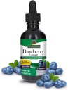 Natures Answer's Alcohol-Free Blueberry Fruit 1000mg 2oz Extract | Eye and Vision Support | High in Antioxidants | Promotes Blutzirkulation | Relieves Red and Itchy Eyes | Single Count