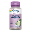 SOLARAY Moringa Kapseln 900 mg - Moringa Ergänzung mit 135 mg Saponins - Kräuter-Unterstützung w/Naturally Occurring Vitamine, Mineralien, Aminosäuren, Vegan, 60-Day Garantie, 30 Serv, 60 VegCaps