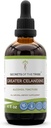 Secrets of the Tribe Greater Celandine Tincture Alkohol Extract, Größere Celandine (Chelidonium majus) 4 OZ