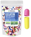 XPRS Nutra Größe 3 Leere Kapseln - 1000 Graf Leere Gelatine Kapseln - Pillen DIY Kapsel Füllung - Pure Bovine Pille Gel Caps Fillable Do-It-Yourself Vitamine und Ergänzungen (Multi Color)