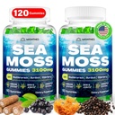 Sea Moss Gummi, 3100mg Irish True Sea Moss Seamoss Gummi für Damen und Herren mit Bladderwrack, Burdock Root, Elderberry Vitamin C und Zink für Detox Cleanse, Immune, Haut, Digestive, Organic, 120Ct