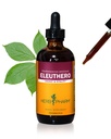 Herb Pharm Eleuthero (Siberian Ginseng) Root Liquid Extract for Energy and Stamina, Cane Alcohol, 4 Unze