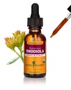 Herb Pharm Certified Organic Rhodiola Root Extract für Energie, Endurance und Stamina, Alkoholfreies Glycerit, 1 Unze