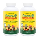 Natures Plus Quelle des Lebens Erwachsene Chewable, Apple Cinnamon - 90 Wafers, Paket von 2 - Multi-Vitamin & Mineral Supplement - Glutenfrei, Vegetarisch - 90 Gesamt Servierungen