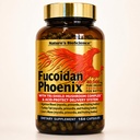 Nature's Bioscience ® FUCOIDAN Phoenix Advanced: 40.000 mg Pure Organic Fucoidan + 64.000 mg Pure Mushroom