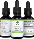 Premium Organic Oregon Grape Root Tincture - Alkoholfreier Extrakt, 1oz | Kräuterunterstützung | Ziggy Health