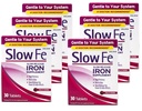 Slow Fe Slow Release Iron, Tablets 30 ea (Pack von 6)