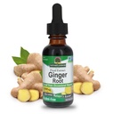 Nature's Answer Ginger Root Alcohol Free Extract 1 Unze | Unterstützt Stomach Funktion | Vegan | Vegetarian | Non-GMO | Gluten Kostenlos