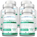 Genehmigte Wissenschaft Pyloriprin - Fortgeschrittene Verdauungshilfe für einen gesunden Stomach - Zink L-Carnosin, Probiotisch, Broccoli Sprout, Deglycyrrhized Licorice - 360 Kapseln - sechs Monate Versorgung - Vegan