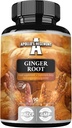 APOLLO'S HEGEMONY Ginger Root 500 mg, Extrakt enthält 5% Gingerols, 90 Vegan Capsules, 3 Monate Versorgung, Ginger Kräuterergänzungsmittel für Verdauungskomfort und Immununterstützung