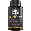 Agissant rapidement, Acacia Senegal Capsules de fibre biologique 300pk. Pilule de supplément de fibre soluble naturelle. Capsules prébiotiques végétaliens.
