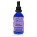 Eidon Ionic Minerals Liquid Zinc Konzentrat - Ionic Zink Ergänzung Tropfen für Erwachsene und Kinder, Unterstützung Immunsystem, Haar und Haut, Leber und Nierengesundheit, Linderung Stress - 2 Unze