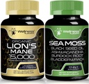 WELLNESS LABSRX Irish Sea Capsules - Lions Mane Supplement Kapseln 15.000mg