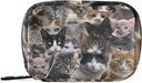 Borsa dell'organizzatore della pillola di viaggio di 7 giorni della cassa della pedana dei gatti delle razze con il supporto della pellame della cerniera Custodia compatta settimanale per supplemento di vitamina