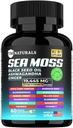 Sea Moss mit schwarzem Samenöl, Vitamin C, Ashwagandha und Turmeric für Immununterstützung & Energie - 60 Vegan Kapseln + Kostenlose Pillen Box