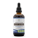 Sheep Sorrel Tincture Alkoholfreier Extrakt, Sheep Sorrel (Rumex Acetosella) Getrocknete Kräuter 4 oz