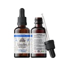 Chicory Tincture Extract, Organic Chicory (Cichorium Intybus) Getrocknete Wurzel für Verlust von Appetit, Leber, und Gallbladder, Non-GMO in kalt-gepressten organischen Gemüse Glycerin 2 oz (60 ml), 700 mg