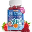 Melatonin Sleep Support Gummis (60 Count) Erdbeer Sunset Creme Flavor Chews | 2.5mg pro Gummy Sleep Supplement für Kinder und Erwachsene | Supplement für schnellere schnellere und längere Schlaf