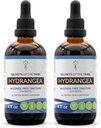 Secrets of the Tribe Hydrangea Tincture Alcohol-Free Liquid Extract, Hydrangea (Hydrangea arborescens) Getrocknete Wurzel (2x4 FL OZ)