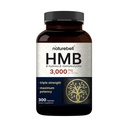 NatureBell HMB 3.000 mg Pro Servieren | 300 Kapseln, 3X Triple Strength HMB Beta-Hydroxy Beta-Methylbutyrat Ergänzung – Lean Muscle Maß & Recovery Support – Non-GMO