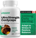 Vitasave Cordyceps Mushroom Supplement – 1000mg Ultra Strength – Natürliche Energie, Endurance & Immununterstützung – Pure Vegan Capsules – Non-GMO, Gluten-Free – 120 Count (60 Day Supply)