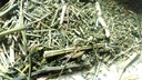 Antike indische Ayurvedische Kräuter Swertia,Chirayata, Chirata von Sanaa Zesty (4)