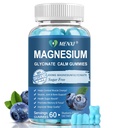 Magnesium-Gummi 600mg pro Servier-Magnesium-Glycinat 400mg und Magnesium Malat 200mg,Sugar freie Magnesium-Kalium-Ergänzung für ruhige Stimmung, Muskel, Knochen & Schlaf-Unterstützung,60 Blueberry-Gummien