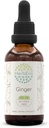 HerbEra Ginger B60 Alkoholfreie Kräuterextrakt-Tinktur, Super-Concentrated Ginger (Zingiber officinale) 2 fl oz