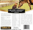 Kalmbach nutre erba Assist minerale e vitamina blocco per cavallo, 25 lb