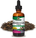 Nature's Answer Bladderwrack Sea Moss Liquid 2 oz | Schilddrüsenunterstützung | Förderung Verdauungsgesundheit | Immununterstützung