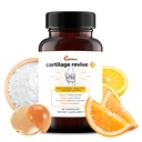 UpWellness Cartilage Revive + Joint Support Supplement für Männer und Frauen mit Typ II Collagen für Gelenke - D-Glucosamine Sulfat, MSM, Vitamin D3, Vitamin C und mehr - 60 Kapseln