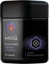 MitoQ +Balance | Sensoril Ashwagandha, Rhodiola & Maritime | Unterstützt Balanced Cortisol Levels, Stressmanagement, Restaurative Sleep & Cell Health (60 Kapseln)