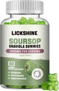 1 Pack Soursop Graviola Gummis - 3000mg Extra Strength Soursop Blätter Supplement mit Vitamin C, Zink - Verdauungshilfe, Immununterstützung & Antioxidans - Zuckerfrei, Non-GMO, Vegan, 60 Zähler