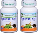 Planet Ayurveda Sanjivani Vati - Kräutertabletten, 100% natürlich und rein - 2 Flaschen (jede Flasche enthält 120 Tabletten)
