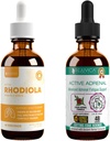 Rejuvica Health Active Rhodiola + Active Adrenal - Unterstützung von Energie + Stress - Liquid Delivery for Better Absorption - Rhodiola, Ashwagandha, Holy Basil &amp; More!