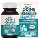 Bio-Iodine-Ergänzung von Sea Vegetable Complex, Whole Food & Raw Form - Iodine Plus Trace Mineral Complex – Enthält reinste isländische Sea Kelp, Irish Moss & Bladderwrack (250 mcg)