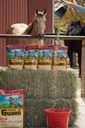 Pferdegarde 4.6 lb, Equine Vitamin Mineral Supplement mit Bio Selenium & Vitamin E