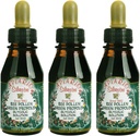 3 Flaschen von Apiario Silvestre Bee Pollen & Brasilien Green Bee Propolis Liquid - Glycolic Extract-Non Alcoholic, Wax Free, Sugar Free