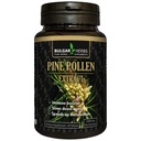Compresse di polline di pino biologico crudo – 60 conte | parete cellulare Cracked | Raccolto di montagna Wild | Supplemento dietetico a spettro completo Premium