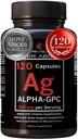 Alpha GPC Supplement & BioPerine für Hyperabsorption - 120 Zähler, Alpha-GPC 600mg pro Servieren - Nootropics for Memory, Focus, Energy, & Drive - Choline-Ergänzungen zur Steigerung von Acetylcholin, Made in USA